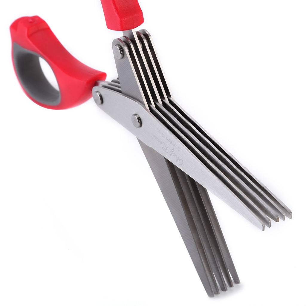 Chef Remi Latest Herb Scissors